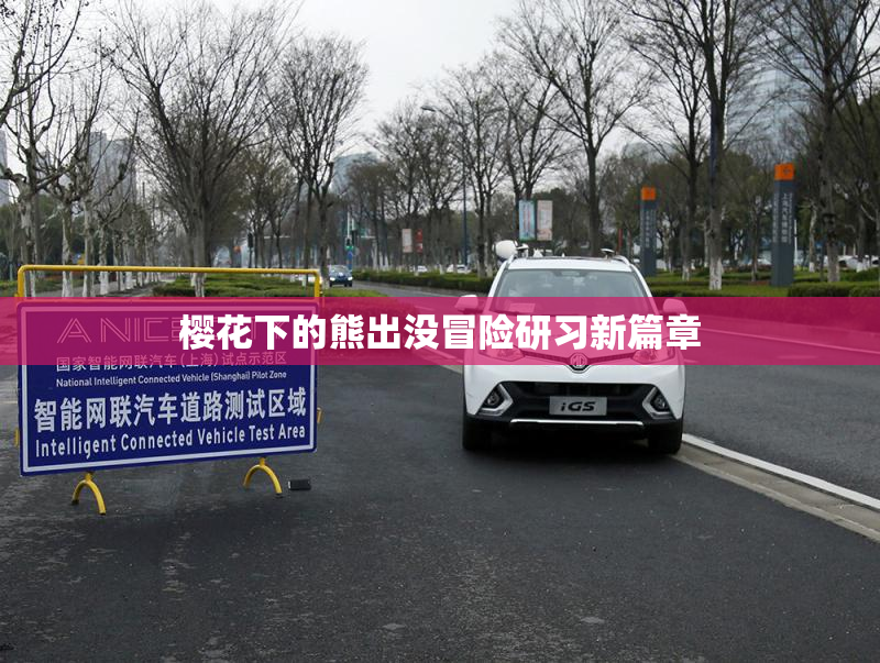 樱花下的熊出没冒险研习新篇章
