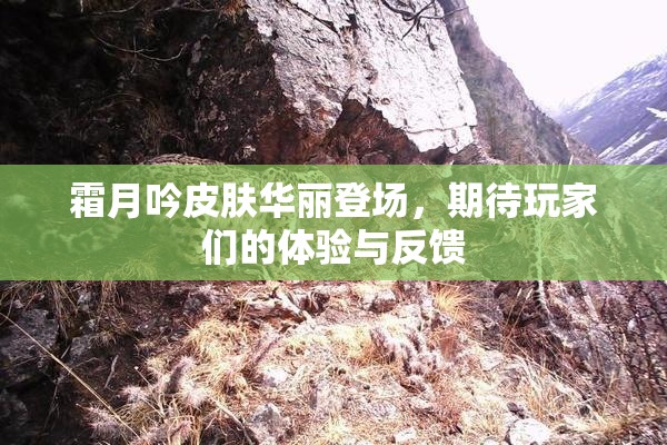 霜月吟皮肤华丽登场，期待玩家们的体验与反馈
