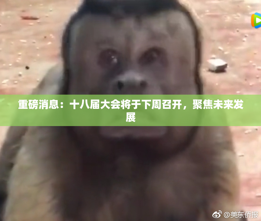 重磅消息：十八届大会将于下周召开，聚焦未来发展