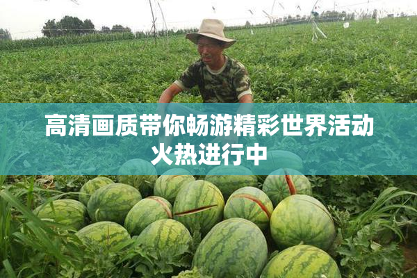 高清画质带你畅游精彩世界活动火热进行中