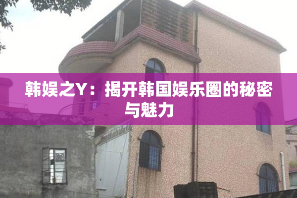 韩娱之Y：揭开韩国娱乐圈的秘密与魅力