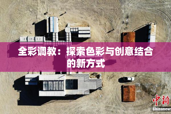 全彩调教：探索色彩与创意结合的新方式