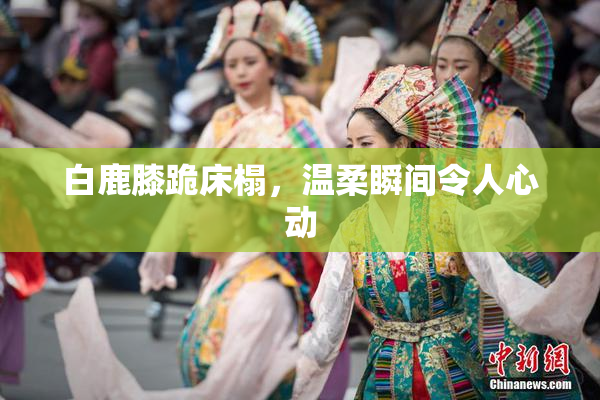 白鹿膝跪床榻，温柔瞬间令人心动