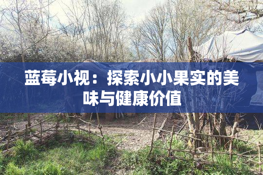 蓝莓小视：探索小小果实的美味与健康价值