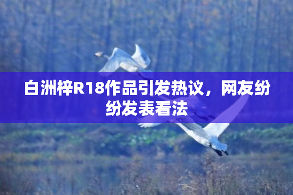 白洲梓R18作品引发热议，网友纷纷发表看法
