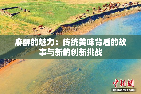 麻酥的魅力：传统美味背后的故事与新的创新挑战