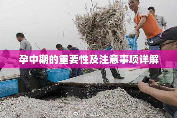 孕中期的重要性及注意事项详解