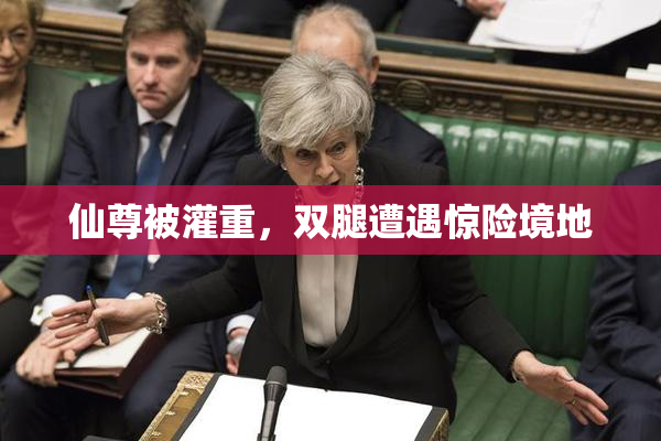 仙尊被灌重，双腿遭遇惊险境地
