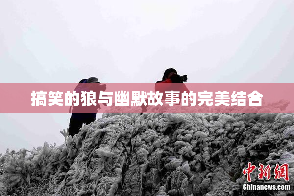 搞笑的狼与幽默故事的完美结合