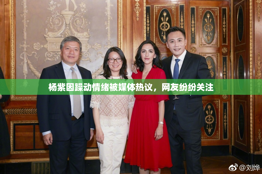 杨紫因躁动情绪被媒体热议，网友纷纷关注