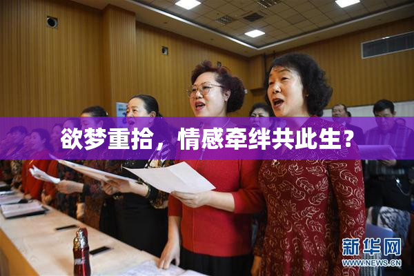 欲梦重拾，情感牵绊共此生？