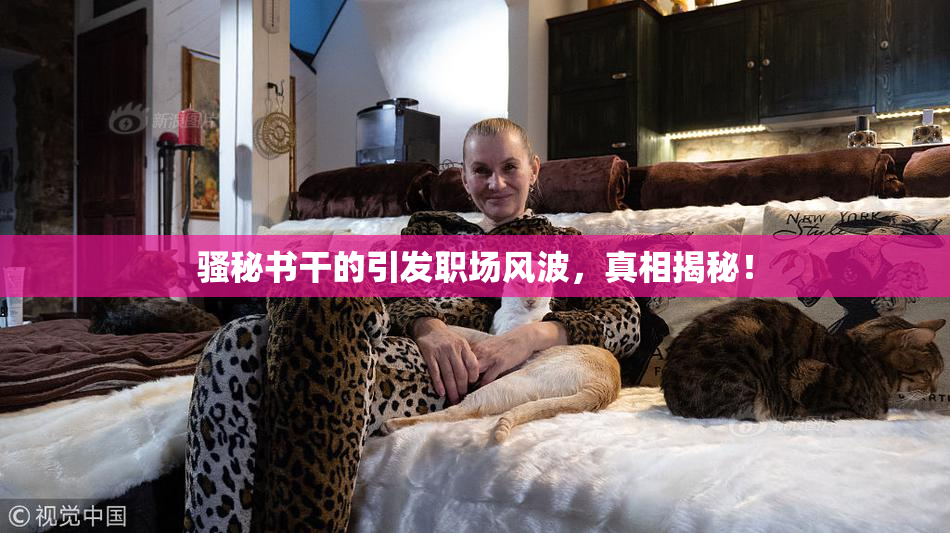 骚秘书干的引发职场风波，真相揭秘！