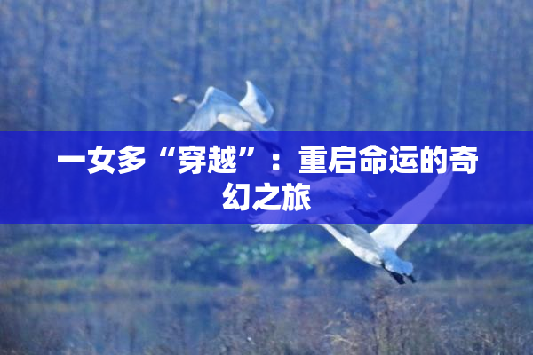 一女多“穿越”：重启命运的奇幻之旅