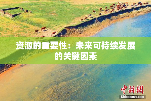 资源的重要性：未来可持续发展的关键因素