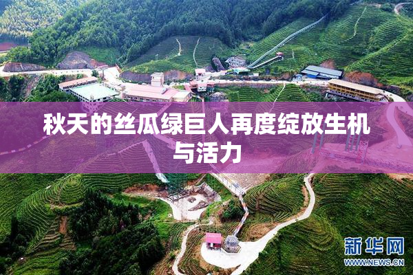 秋天的丝瓜绿巨人再度绽放生机与活力