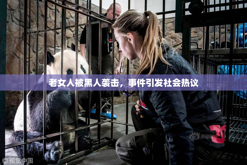 老女人被黑人袭击，事件引发社会热议