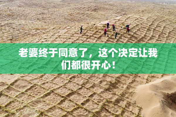 老婆终于同意了，这个决定让我们都很开心！