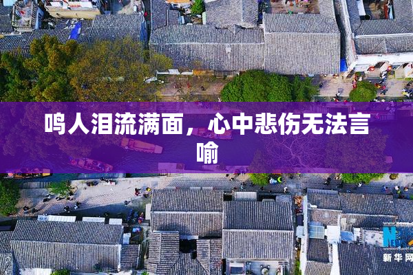 鸣人泪流满面，心中悲伤无法言喻