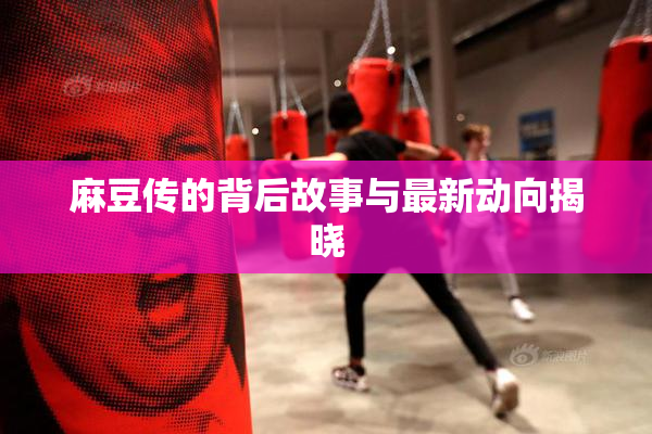 麻豆传的背后故事与最新动向揭晓