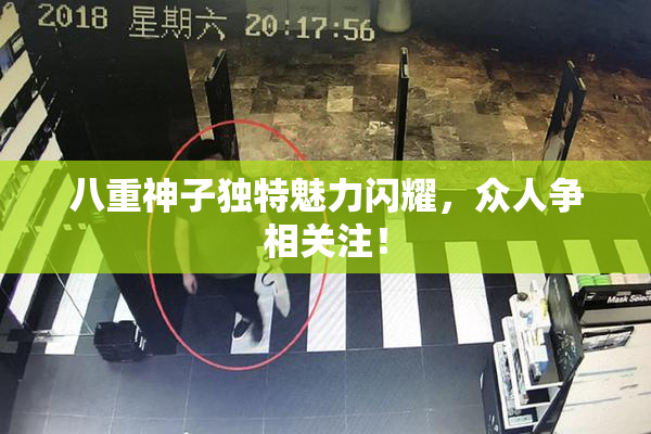 八重神子独特魅力闪耀，众人争相关注！
