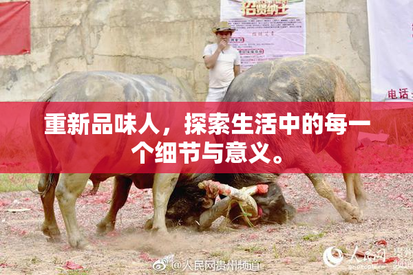 重新品味人，探索生活中的每一个细节与意义。