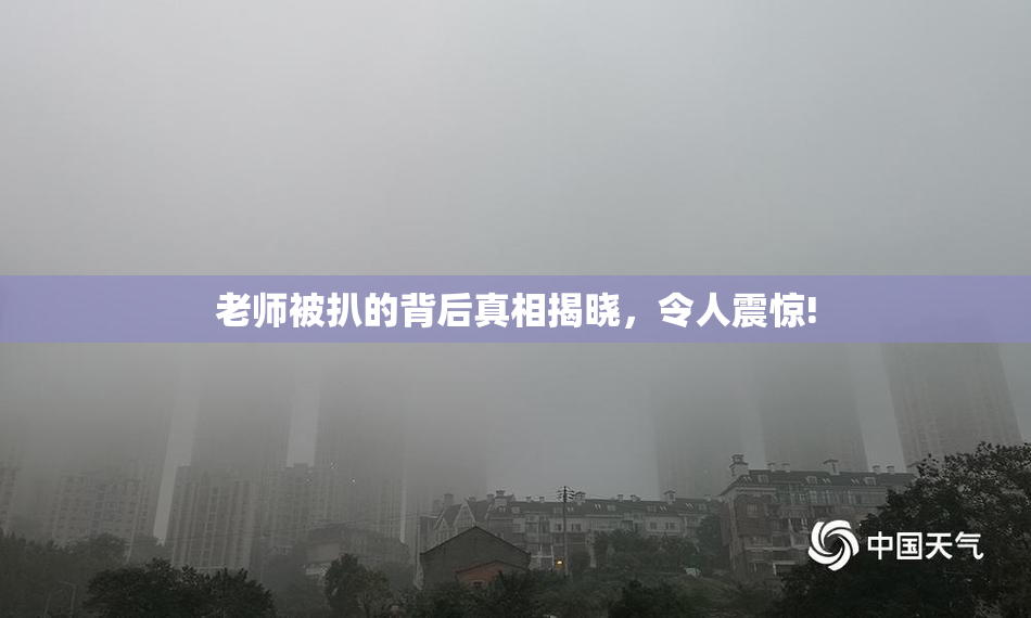 老师被扒的背后真相揭晓，令人震惊!