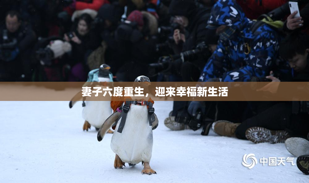 妻子六度重生，迎来幸福新生活