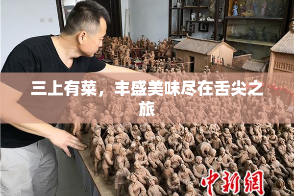 三上有菜，丰盛美味尽在舌尖之旅