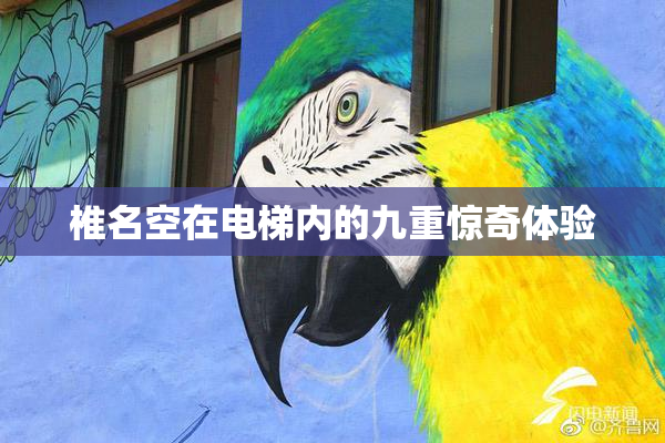 椎名空在电梯内的九重惊奇体验