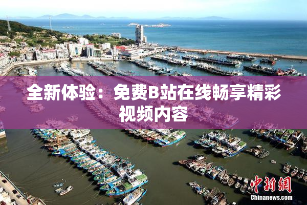 全新体验：免费B站在线畅享精彩视频内容