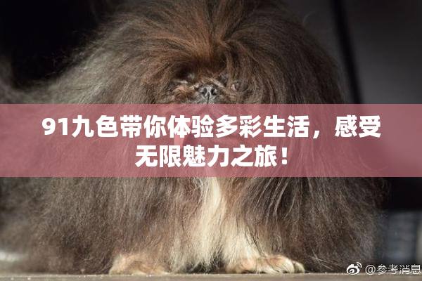 91九色带你体验多彩生活，感受无限魅力之旅！