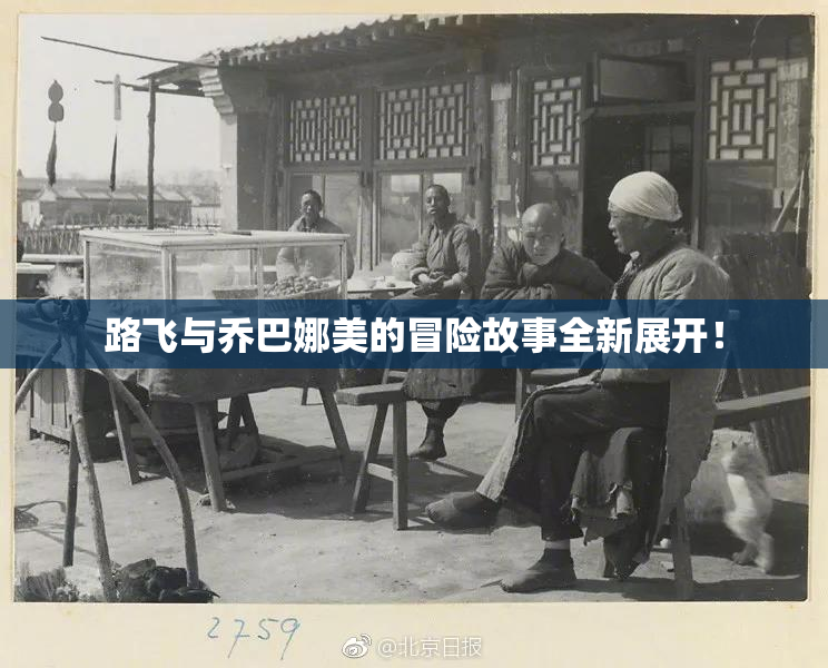 路飞与乔巴娜美的冒险故事全新展开！