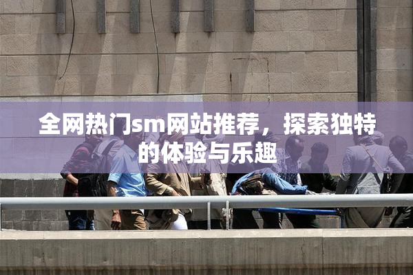 全网热门sm网站推荐，探索独特的体验与乐趣