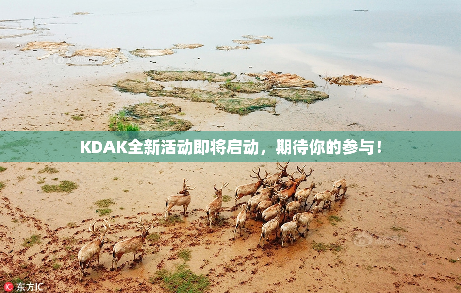 KDAK全新活动即将启动，期待你的参与！