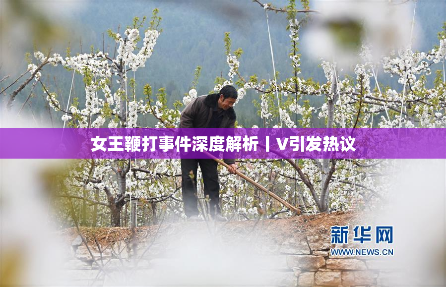 女王鞭打事件深度解析丨V引发热议