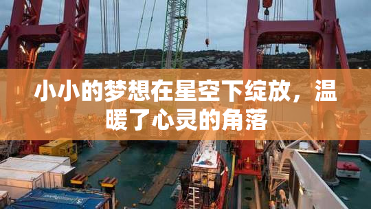 小小的梦想在星空下绽放，温暖了心灵的角落