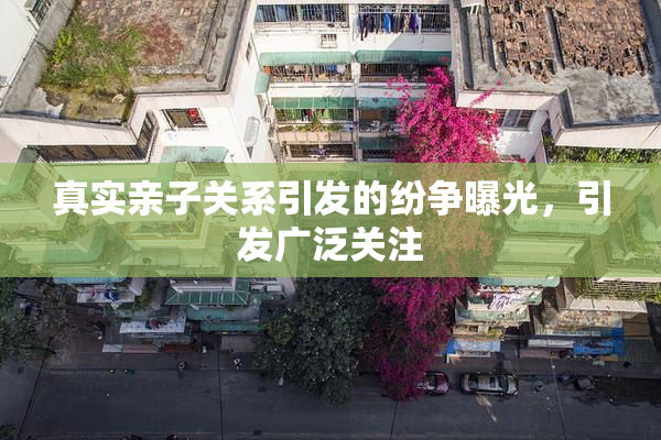 真实亲子关系引发的纷争曝光，引发广泛关注