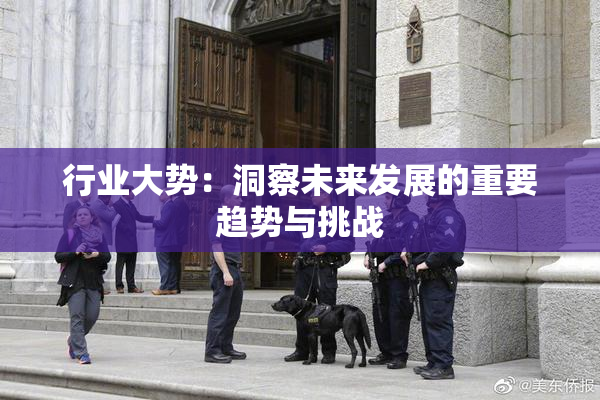 行业大势：洞察未来发展的重要趋势与挑战
