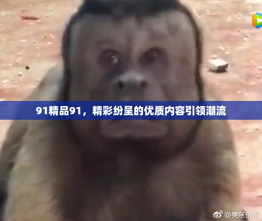 91精品91，精彩纷呈的优质内容引领潮流