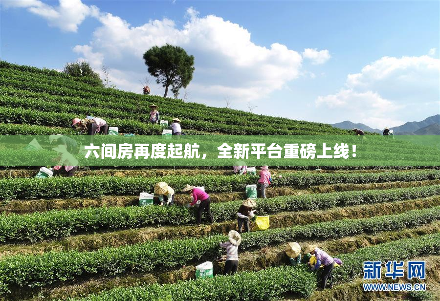 六间房再度起航，全新平台重磅上线！