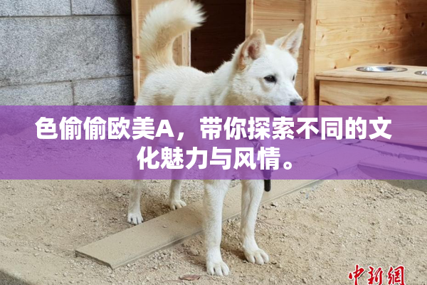 色偷偷欧美A，带你探索不同的文化魅力与风情。
