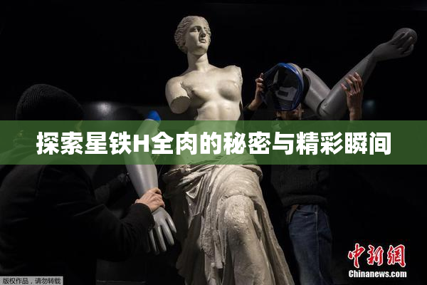 探索星铁H全肉的秘密与精彩瞬间