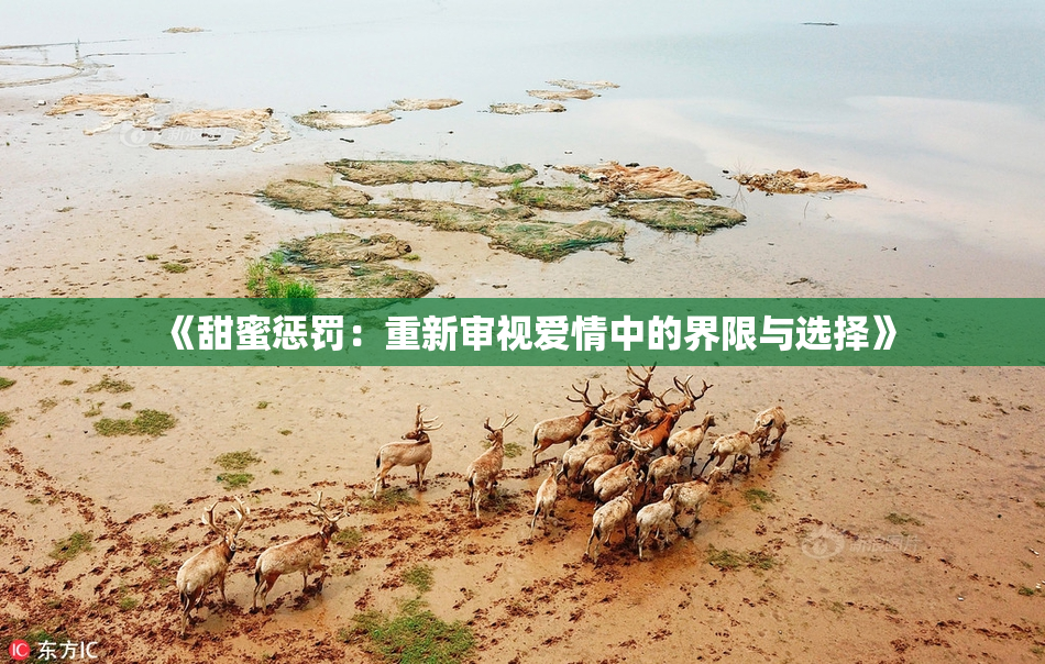 《甜蜜惩罚：重新审视爱情中的界限与选择》
