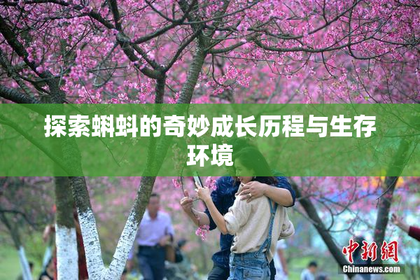 探索蝌蚪的奇妙成长历程与生存环境
