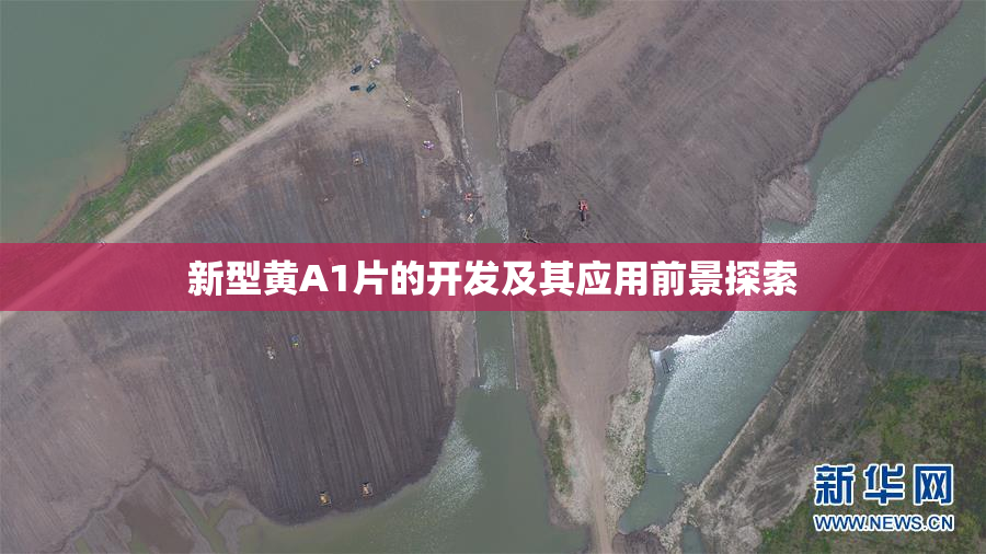 新型黄A1片的开发及其应用前景探索