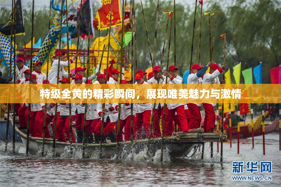 特级全黄的精彩瞬间，展现唯美魅力与激情