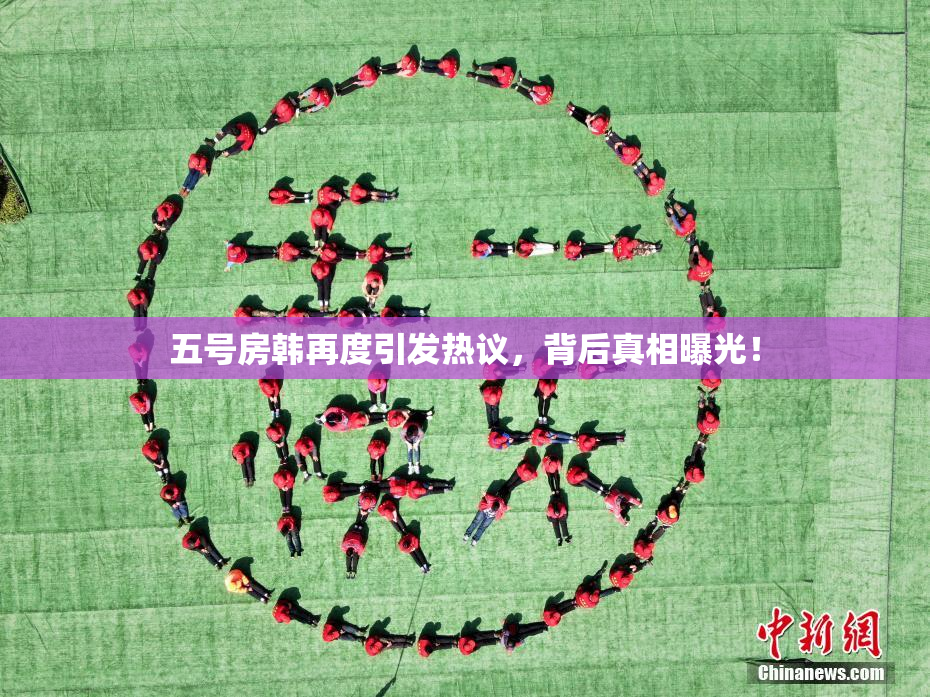五号房韩再度引发热议，背后真相曝光！