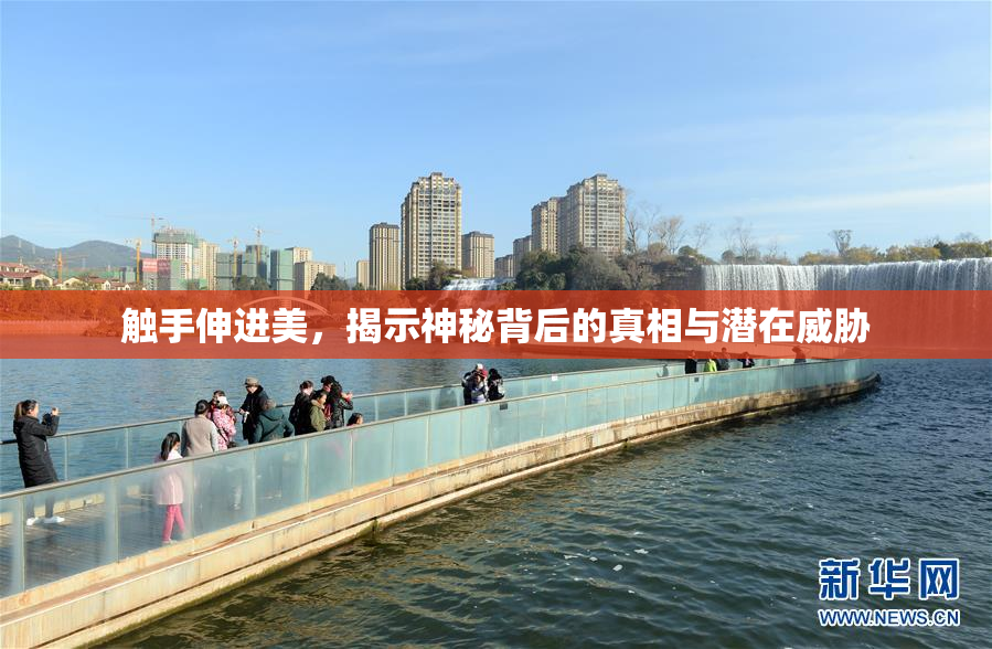 触手伸进美，揭示神秘背后的真相与潜在威胁