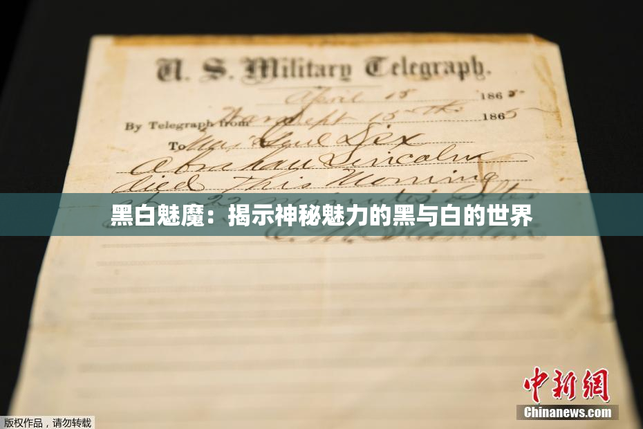 黑白魅魔：揭示神秘魅力的黑与白的世界