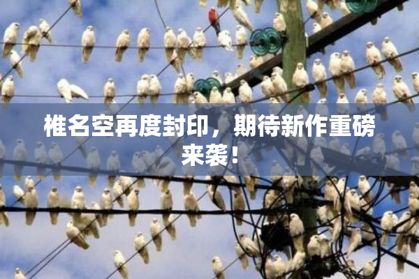 椎名空再度封印，期待新作重磅来袭！